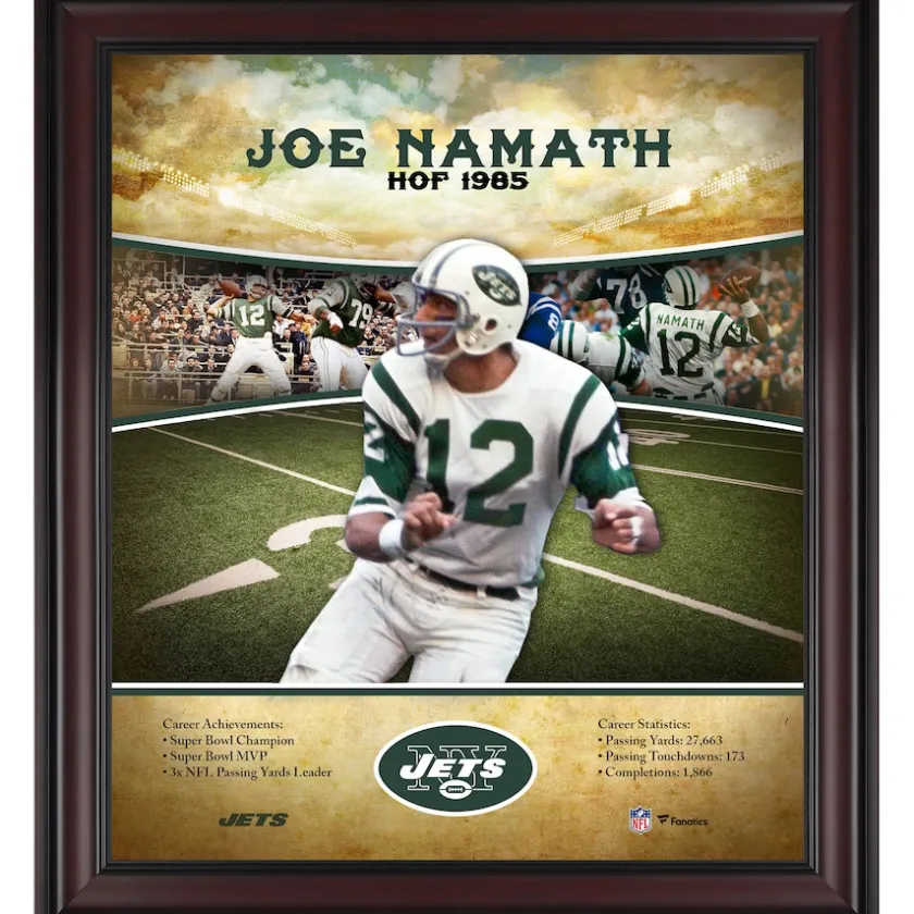 Wall Art|Photos^New York Jets Joe Namath Framed 15" X 17" Hall Of Fame Career Profile